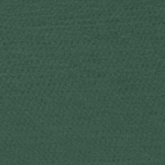 Carrello Bravo plus 2025 palm green